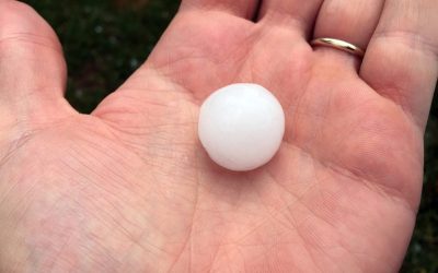 Tischtennis-Vereinsmeisterschaften 2014