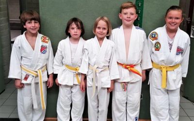 Erste Erfahrungen gesammelt