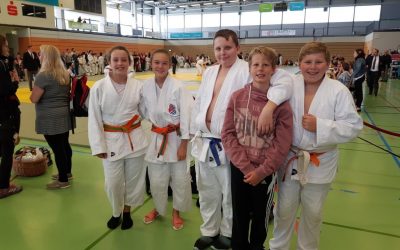 Sichtungsturnier mit guten Ergebnissen