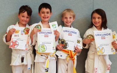 Judosafari und Generationen-Turnier