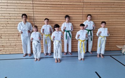 Erfolgreiche Karate Prüfung beim BTSC