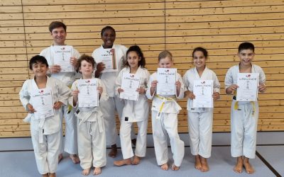 Erfolgreiche Karate Prüfung beim BTSC in Baumberg.